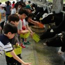 평안목장 이미지