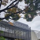 [공연후기 서울스테이지 2024 10월 공연 '모두의 바람, 떼바람소리'