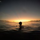 하와이마트 | 하와이2일차) 오하우 아일랜드 투어 /우리투어