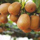 영길농장 이미지