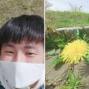 보고봄 네이버블로그