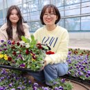 해남군농업기술센터 이미지