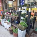 뉴부천식당 이미지