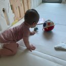 세브란스외과의원 | 사두 두상교정헬멧 종결 후기👷‍♂️(강남세브란스 성형외과, 아이러브밴드, 이을아이두의원)