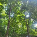 여울님 안녕하세요 이미지