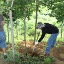 우화농장 이미지