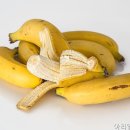 아리엘의원 네이버블로그