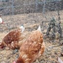 대수농장 이미지