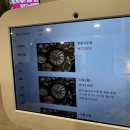 대연엘리시아 | 대연동 못골 맛집 도가니탕 추천 서울깍두기 대연본점