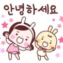 옐로우동물병원 이미지