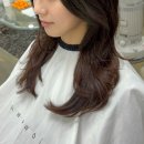 좋은미용실 | [제주 아라동 미용실]화월ㅣ퀄리티 높은 헤어컨설팅, 제주 후기 좋은 미용실 추천