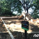 현충근린공원(유아숲체험장) 이미지