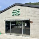 666도그플레이 | 대구 근교 애견카페 | 666도그플레이 계곡까지 이용 후기