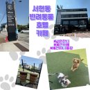 도그365 | 성남 서현동 애견카페 도그365 애견유치원 반려동물호텔 내돈내산 리얼 후기