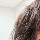 조군헤어 이미지