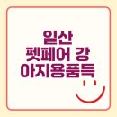 대곡동물병원 | 2025년 일산 펫페어 강아지용품 대폭발 알찬 정보 공개