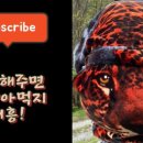 계명산자연휴양림 야영장 이미지
