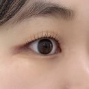 국채보상로151길 | 동인동속눈썹펌 깰꼼 당일예약 가능한 대구속눈썹펌