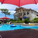 쁘띠 토마토 이미지