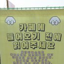 발라당눕스 이미지