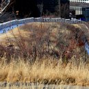 남산공원 이미지