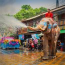 (주)호텔더베네치아 이미지