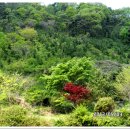 두척계곡 이미지