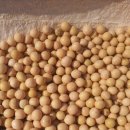 수촌농장 이미지