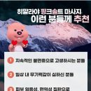 스파예가 이미지