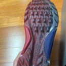 에코바이옴 이미지