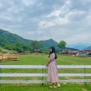 죽림목장 이미지