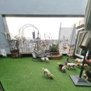 발리애견호텔 이미지