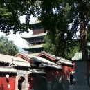 ▶ 중국여행 정보중국 하남성 소림사(少林寺) 풍경-20 이미지
