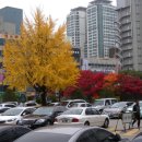 유성호텔 이미지