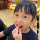 해바라기자연유치원 이미지