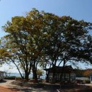 장척경로당 이미지