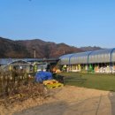 화천시장조합 이미지