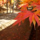 부소산성 서복사지 이미지