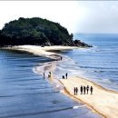 섬 - 공주시 번영1로 62 | 섬