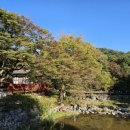 명상길 | 충남 공주 가볼만할곳 단풍명소 마곡사 템플스테이 백범명상길