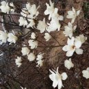 송암농장 이미지