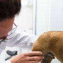 티앤디 동물병원 이미지