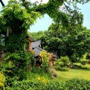 돌기와 토담집 이미지