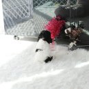 토이파티 이미지