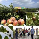 박종팔농장 이미지