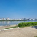 서림 행정사사무소 이미지