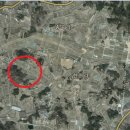 THE큰공인중개사사무소 이미지