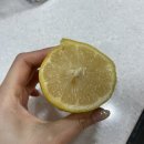 홈파티요리 | 국내산 제주레몬 추천, 연말 홈파티 요리 후기