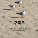 박목월 시인의 고향과 타향에 관한 시 &#39;구국도&#39; 감상 후기