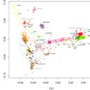 상당한 수의 고인골 데이터에 기반한 동아시아인의 인구 조성 모델링 The Genomic Formation of Human Populations in East Asia (preprint) 이미지